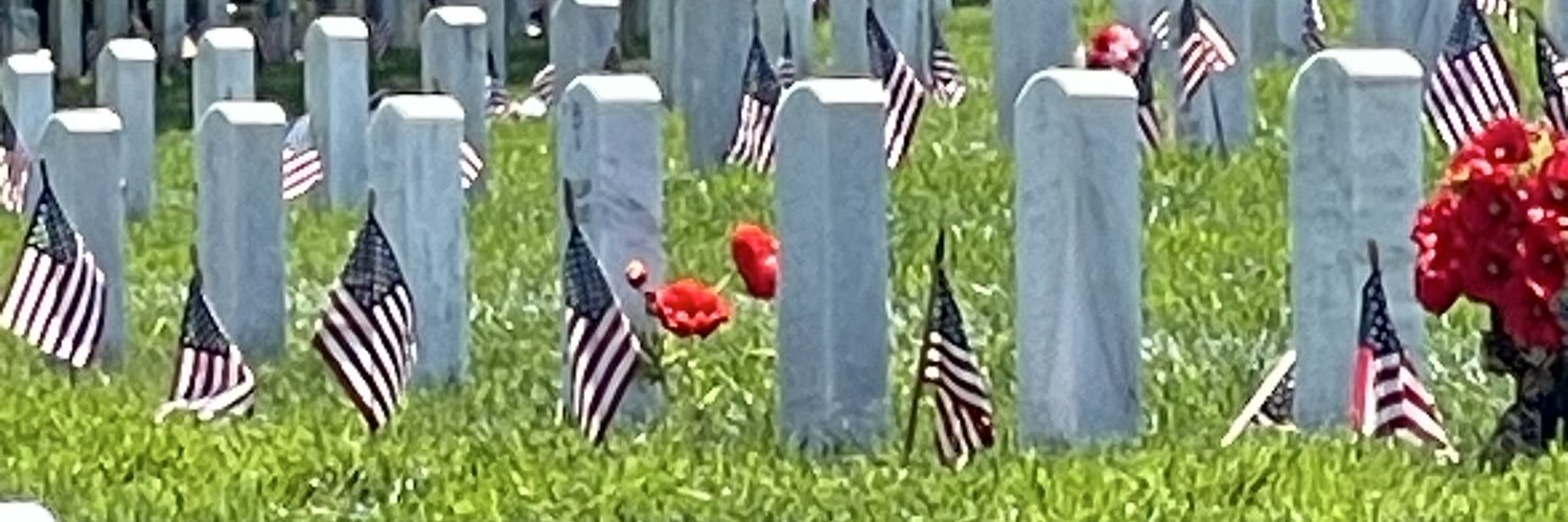 M Robeson🇺🇸🇺🇸 banner