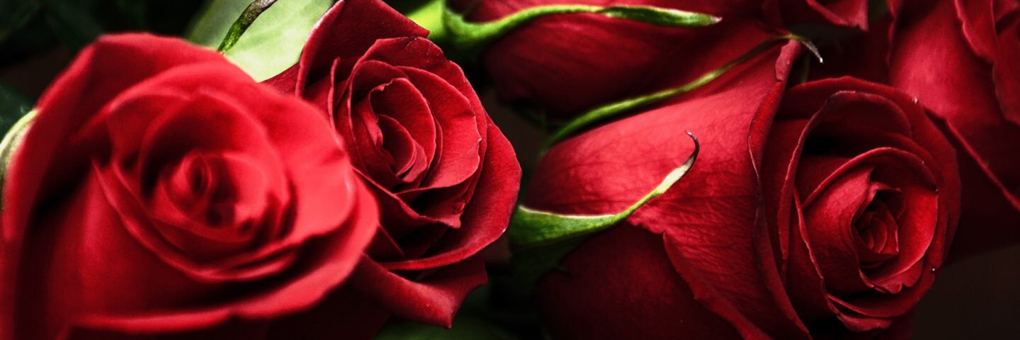 rubyschild72's profile banner image
