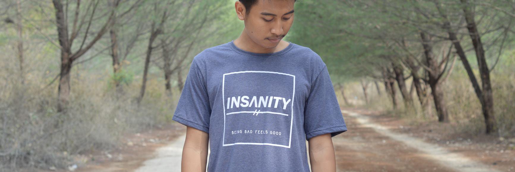 Insanity Art Wear banner