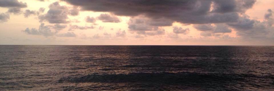 Carlglitter's profile banner image