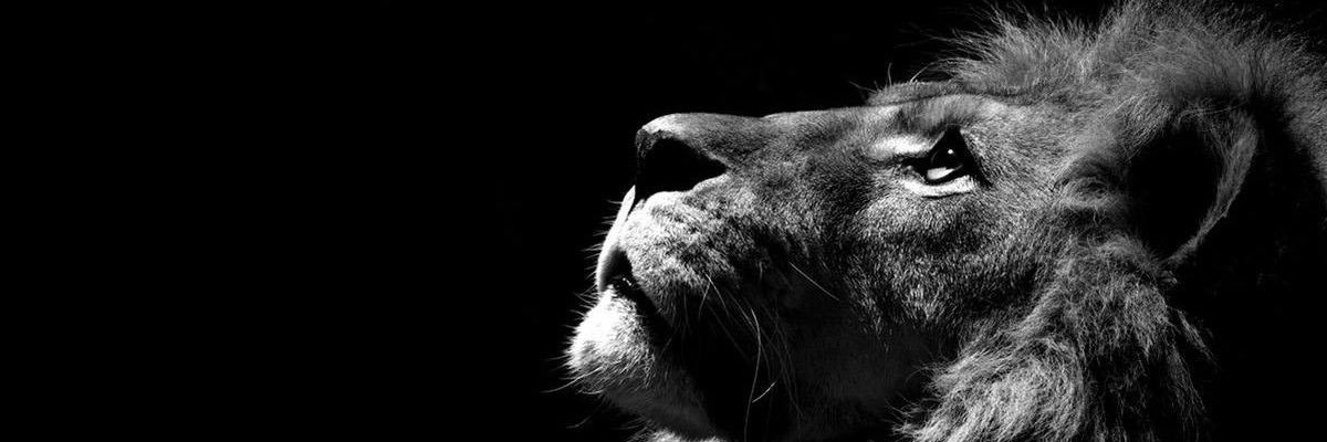 famy19831's profile banner image