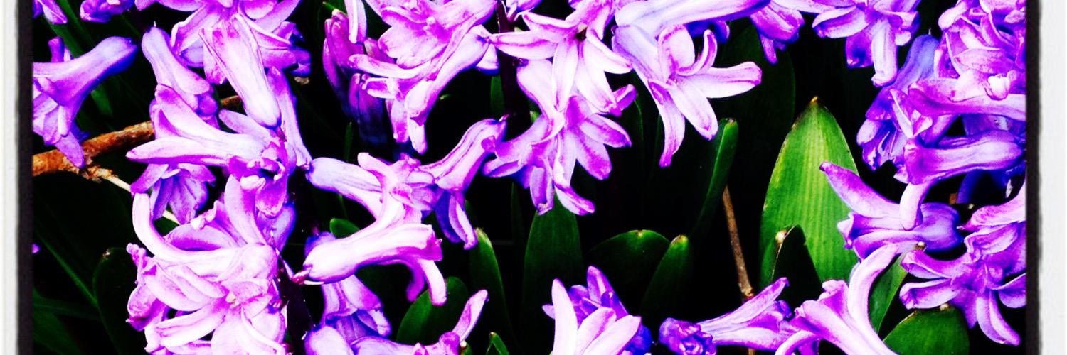 3Kristymartin's profile banner image