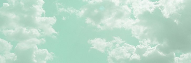 astoldbysonia's profile banner image
