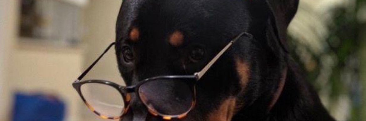 House_shoe's profile banner image