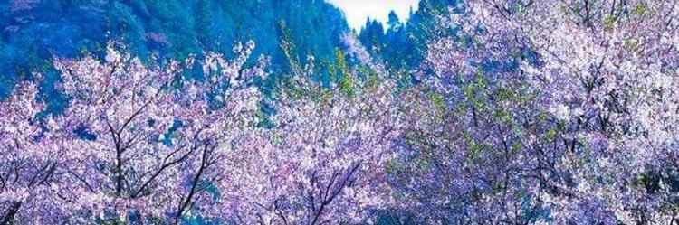 zafiq003's profile banner image