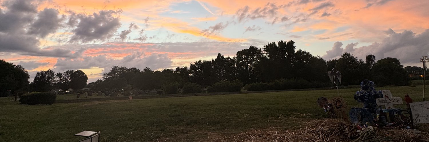 T_raee12's profile banner image