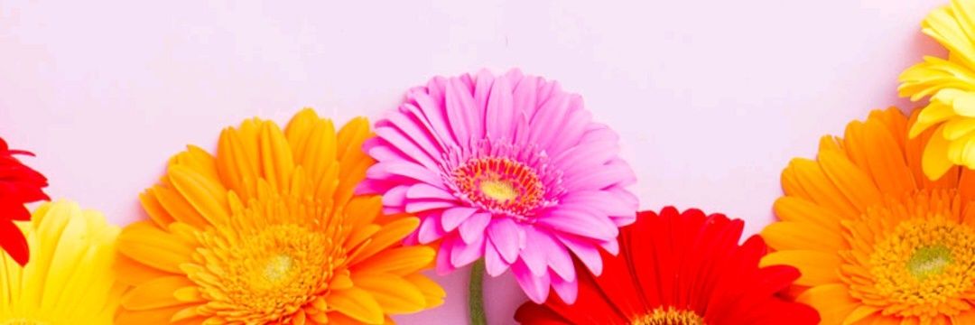 MelhissaTorres's profile banner image