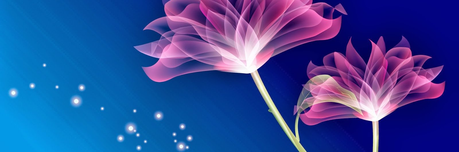 BlueRos07's profile banner image