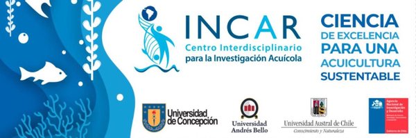 IncarChile Profile Banner