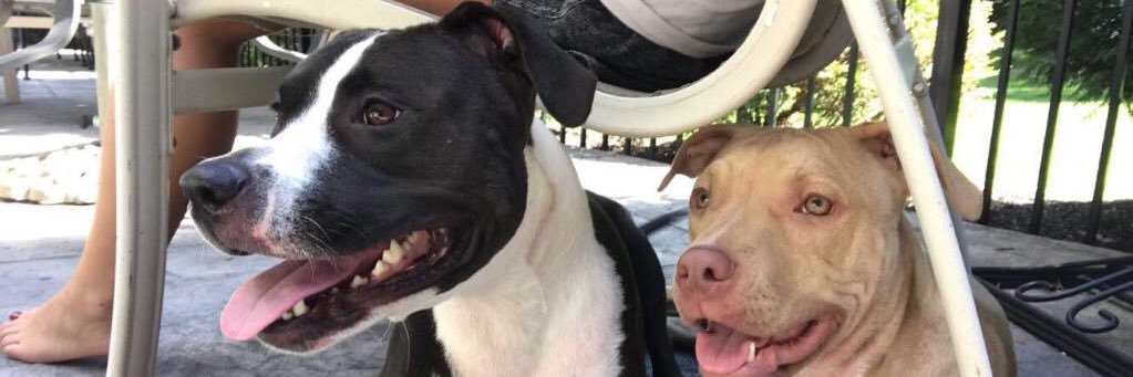 BossMannJones's profile banner image