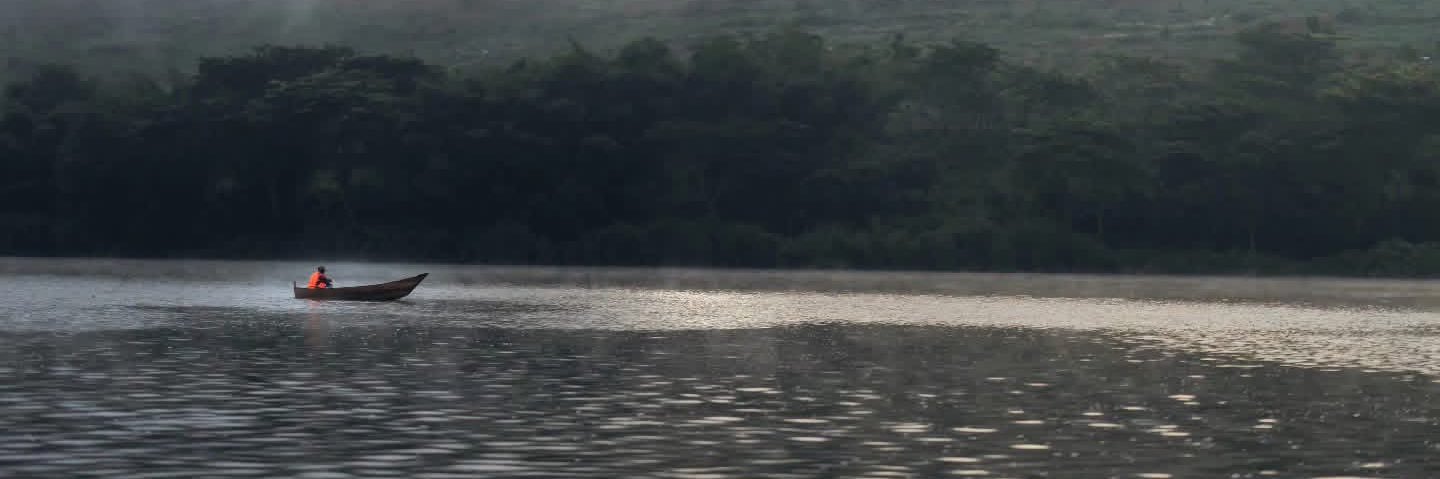 stippop's profile banner image