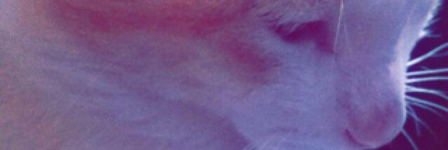Juliagbc_'s profile banner image