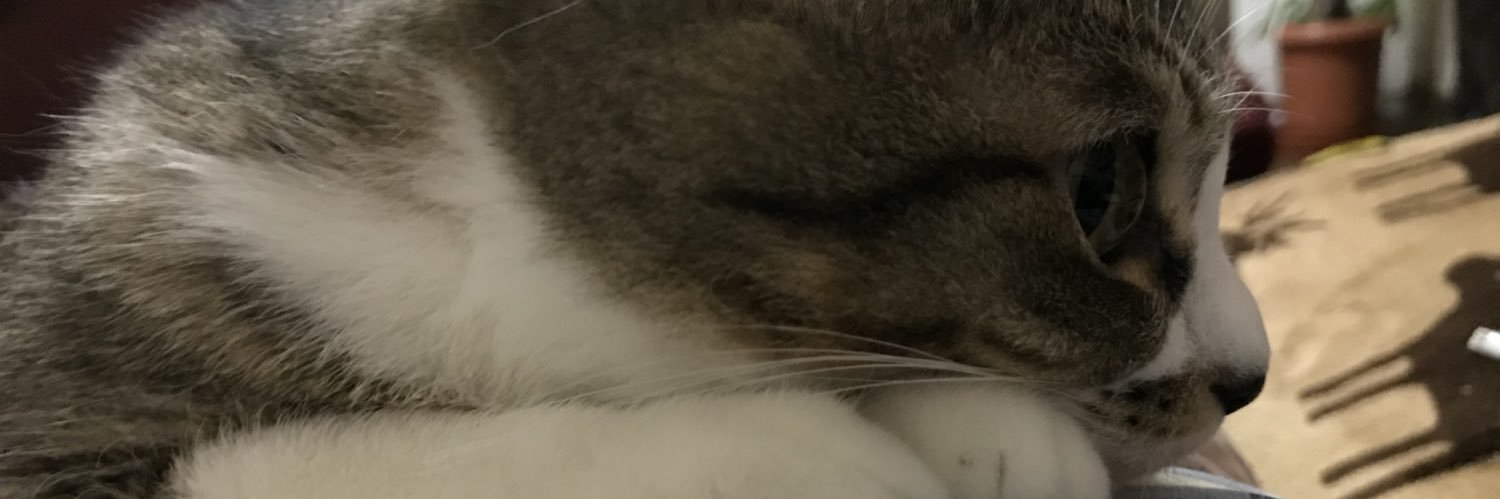 salujun's profile banner image