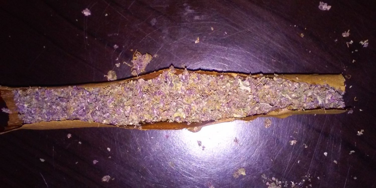 420Meesh's profile banner image