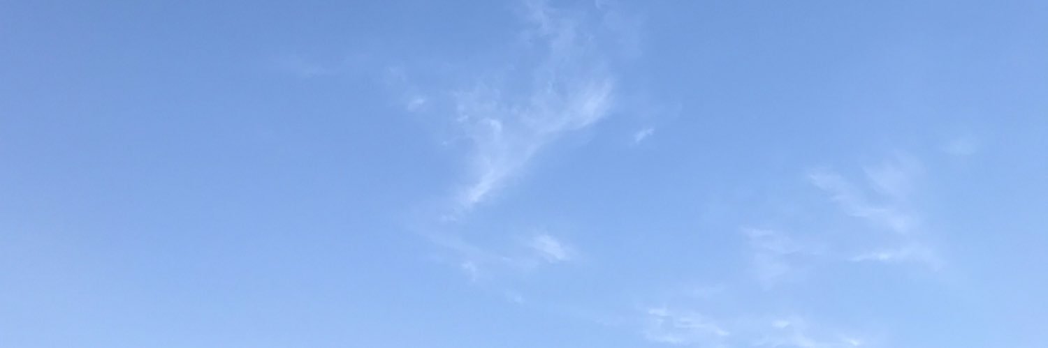 Prosopoco0123's profile banner image