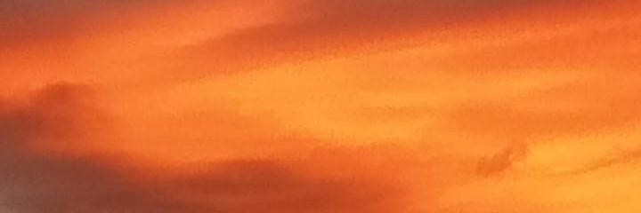 mrinalini⁷ banner