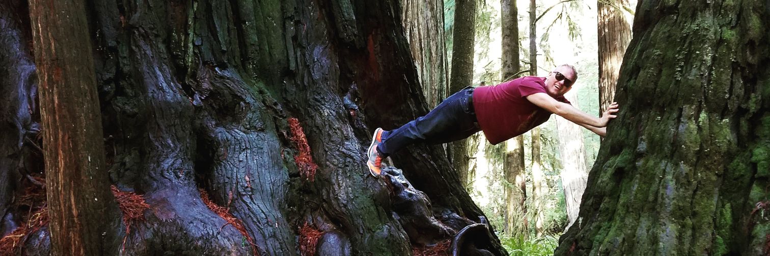 Derek Whitefield banner