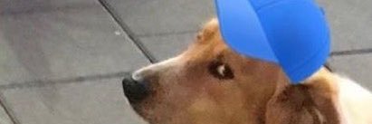 Cuhhhreno's profile banner image