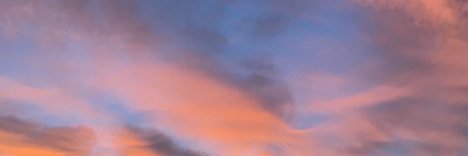 sarahsebren's profile banner image