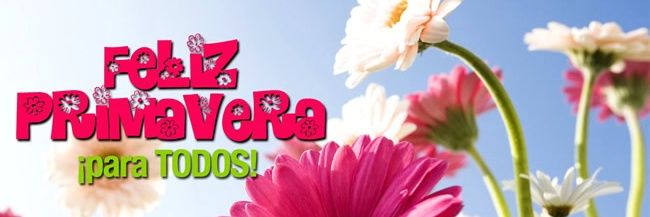 claualezerda's profile banner image
