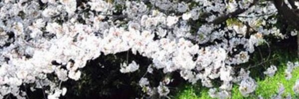 anthomas760 Profile Banner