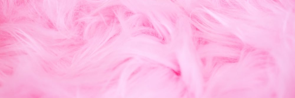 Cartijaj's profile banner image