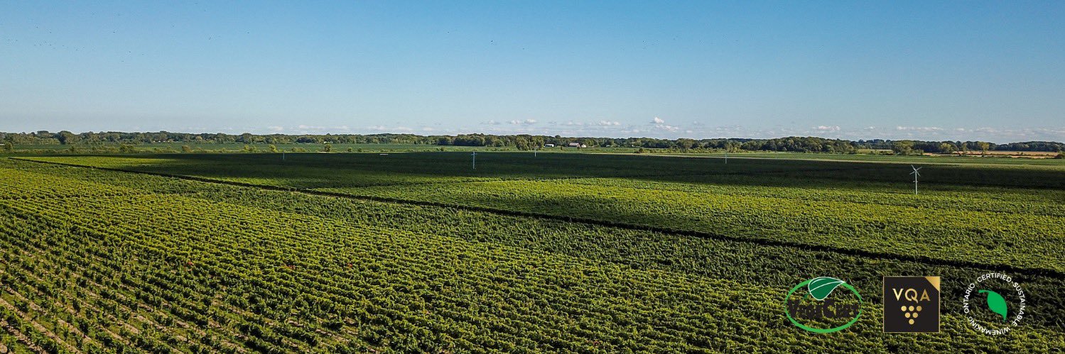 Peleewinery's profile banner image