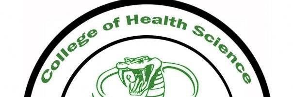 utechcobras's profile banner image