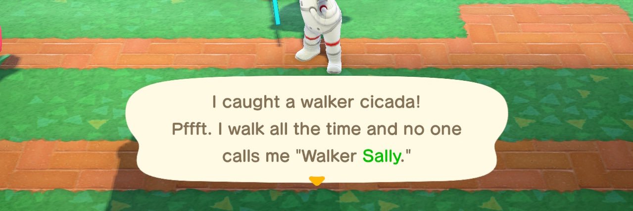Sally Walker banner