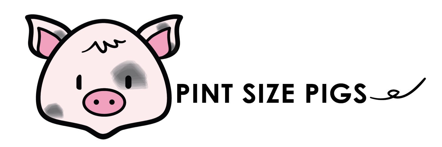 PintSizePigs's profile banner image