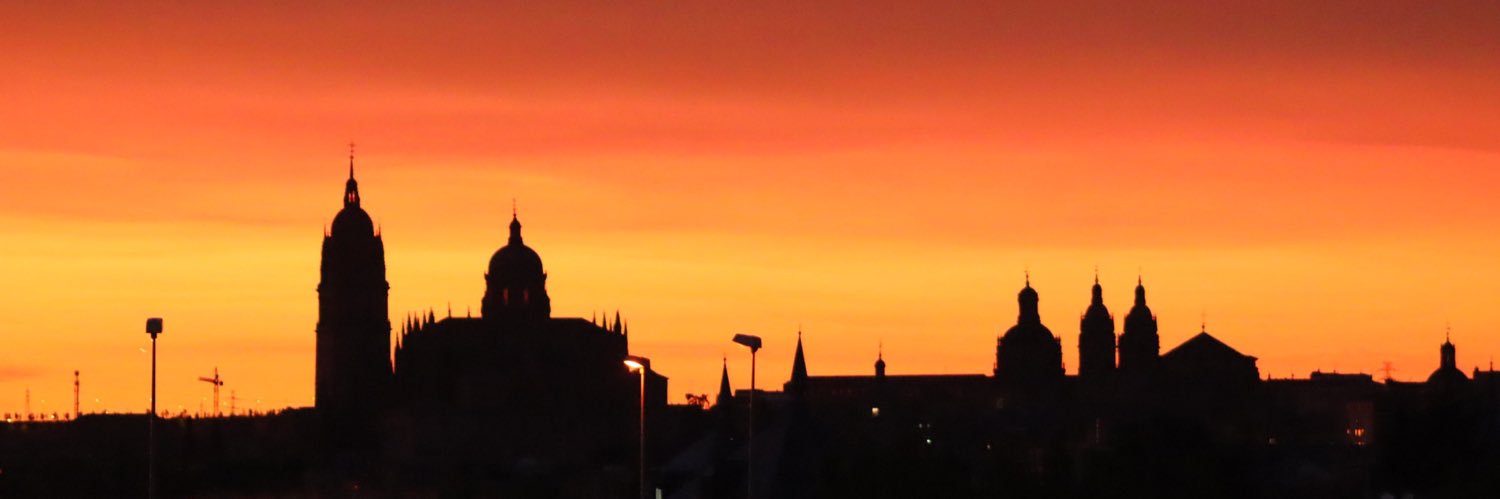 LauriBarroso's profile banner image
