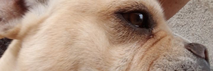marmiranda92's profile banner image
