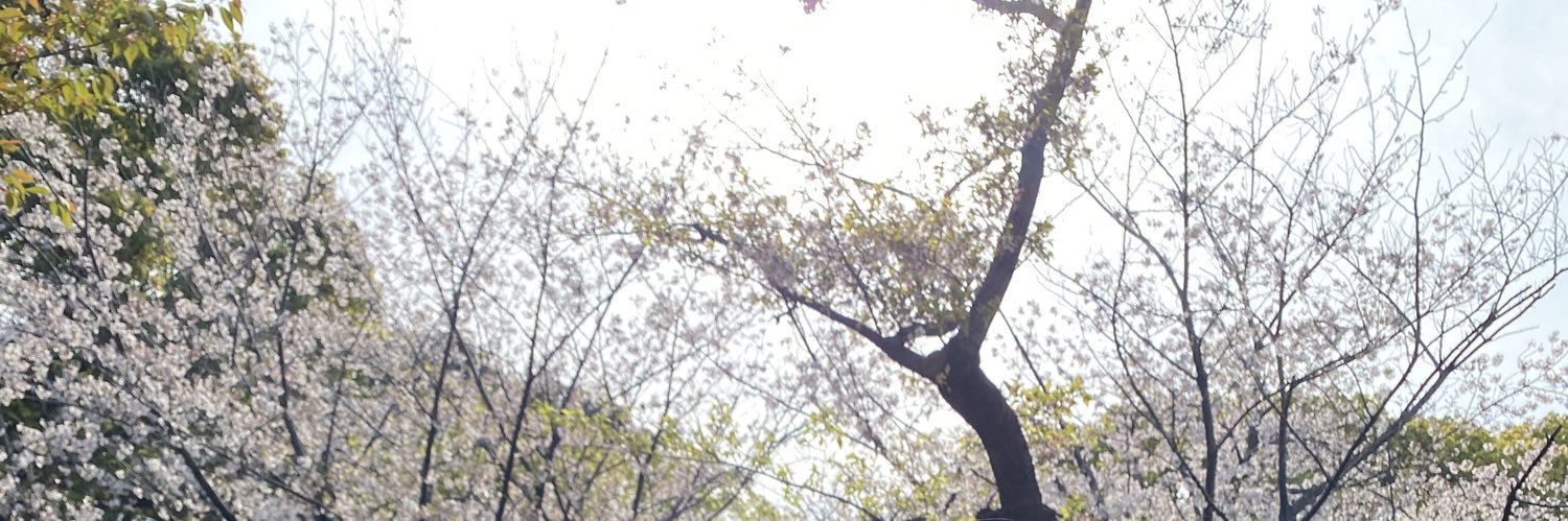 __mooyy's profile banner image