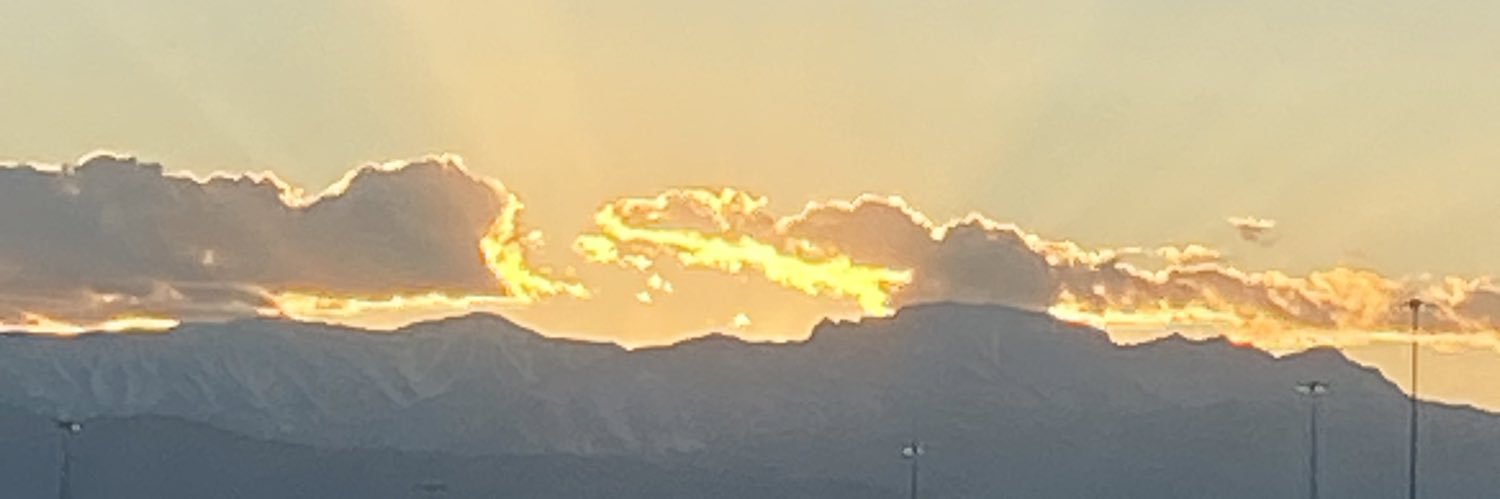 tarausp's profile banner image