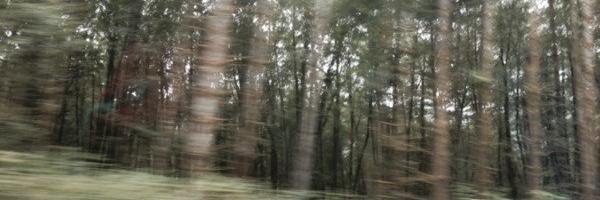 FALLTAKY's profile banner image