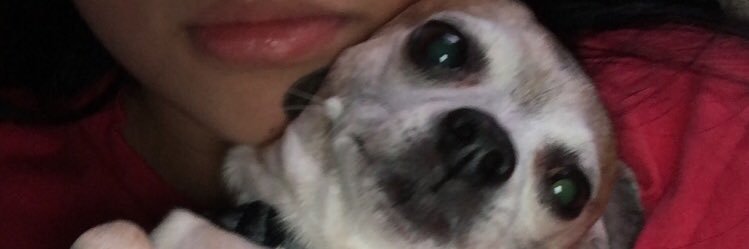 alyanna_99's profile banner image