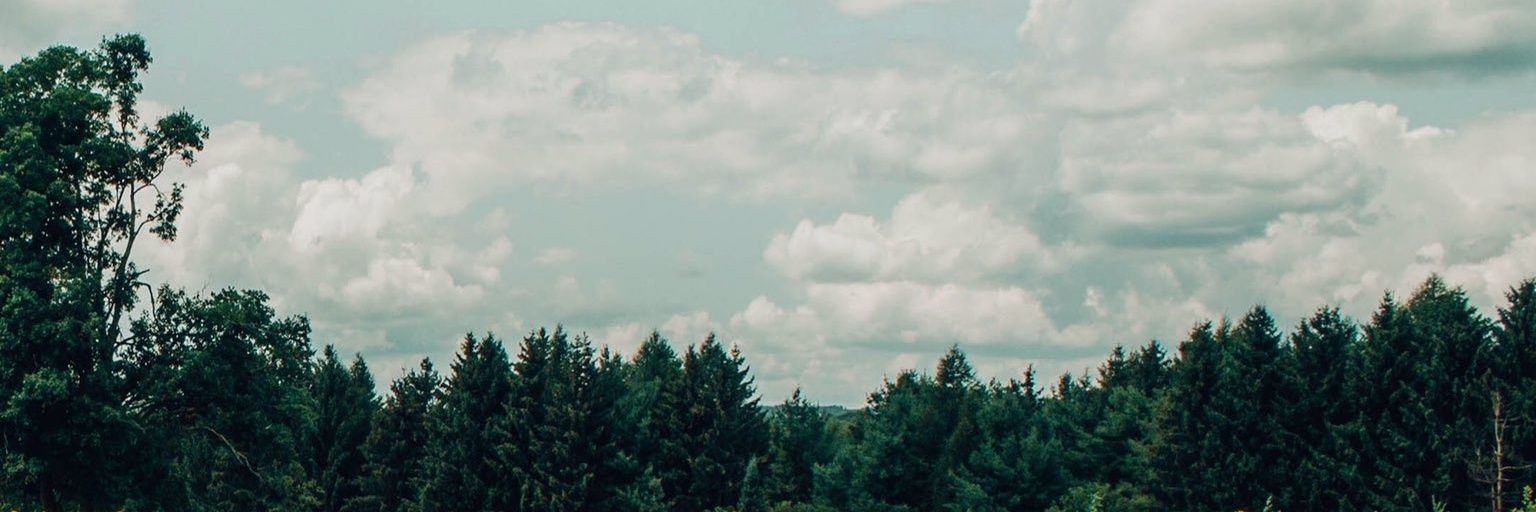 ankkitt08's profile banner image