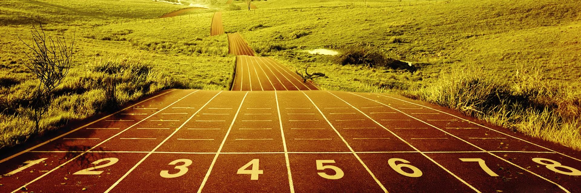 Miss Stephen PE banner