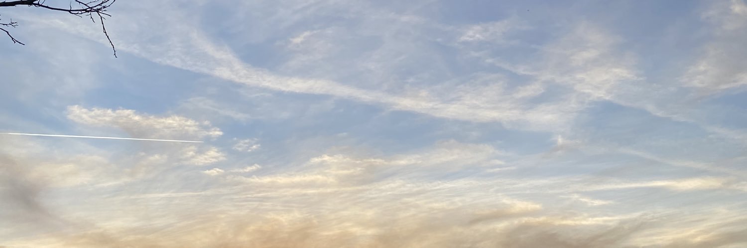 kittyvixen84's profile banner image