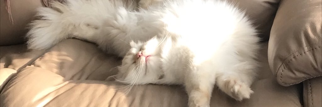Samantha banner