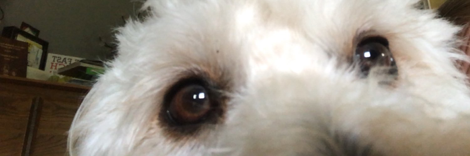 mackgriman's profile banner image