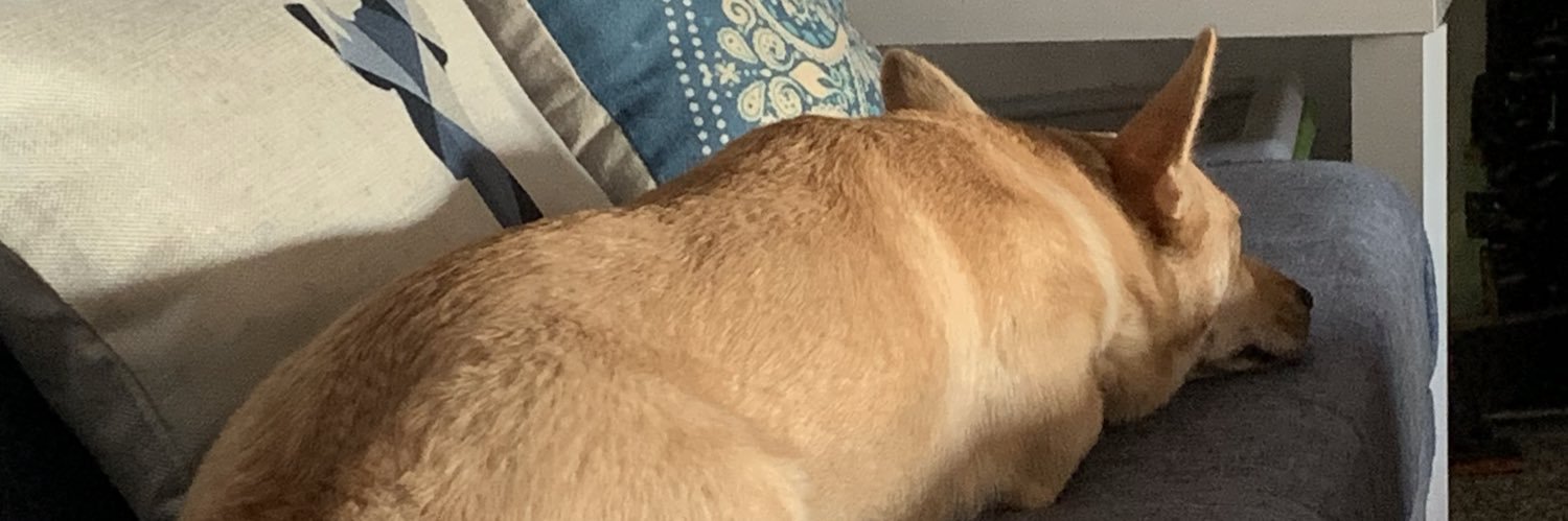 valwil87's profile banner image