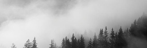 DistxrtedSiren's profile banner image