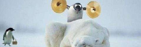 sillyorsmart's profile banner image