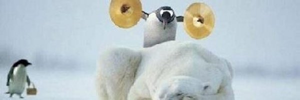 sillyorsmart Profile Banner