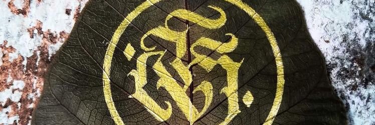thisisluizz's profile banner image