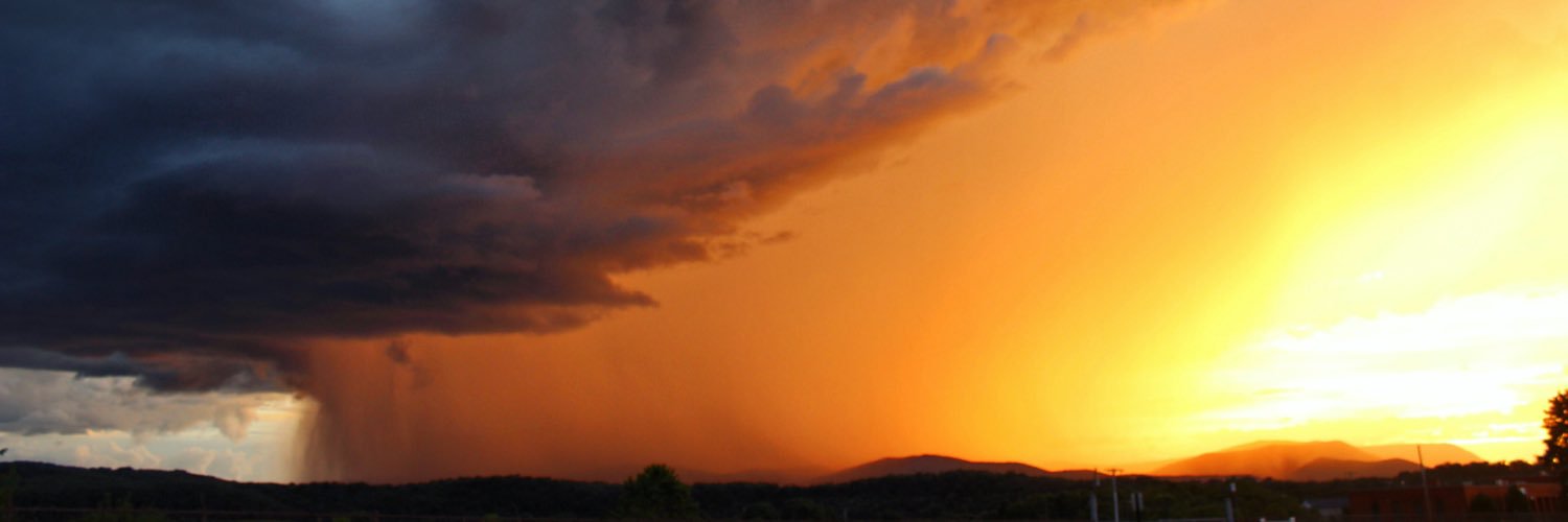 Candice Trimble banner