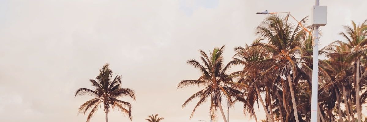 dhayale_'s profile banner image