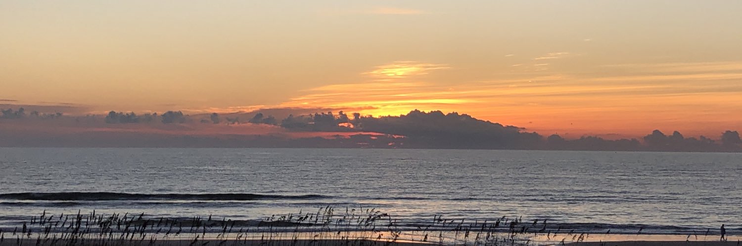 OleSwamp's profile banner image