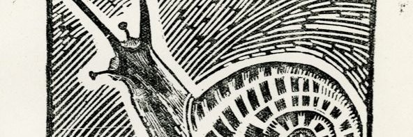Bryce Taylor Rudow banner